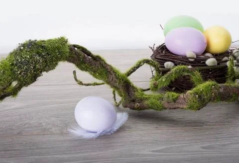 Easter eggs with moss brunch Stock Photos