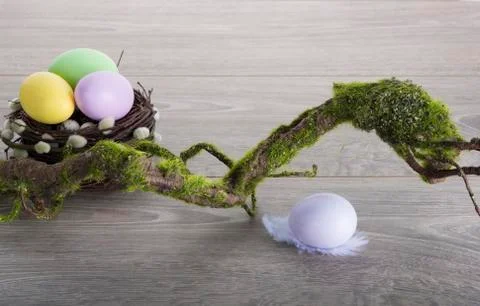 Easter eggs with moss brunch Stock-Fotos
