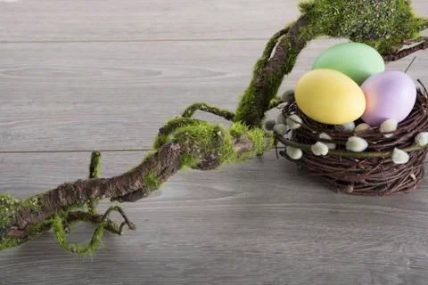 Easter eggs with moss brunch Stock Photos