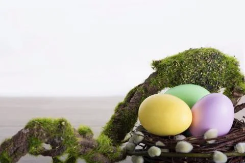 Easter eggs with moss brunch 스톡 사진