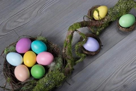 Easter eggs with moss brunch Stock Photos