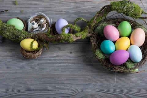 Easter eggs with moss brunch Stock Photos