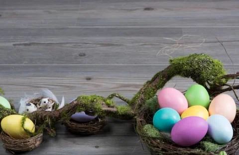 Easter eggs with moss brunch Stock Photos