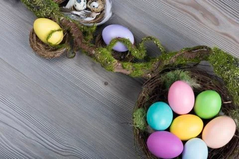 Easter eggs with moss brunch Fotos Stock