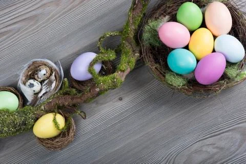 Easter eggs with moss brunch Stock Photos