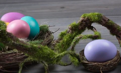 Easter eggs with moss brunch Foto stock