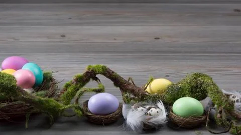 Easter eggs with moss brunch Stock Photos