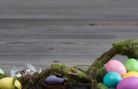 Easter eggs with moss brunch Stock Photos