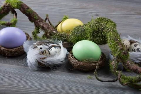 Easter eggs with moss brunch Stock Photos