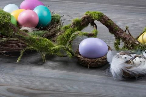 Easter eggs with moss brunch Stock Photos