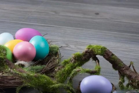 Easter eggs with moss brunch 스톡 사진