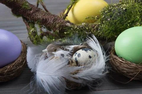 Easter eggs with moss brunch 스톡 사진