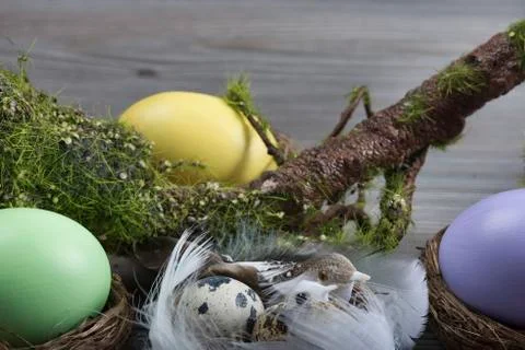 Easter eggs with moss brunch 스톡 사진