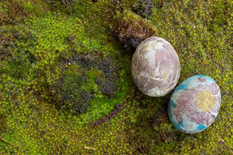 Easter eggs on moss Stock Photos