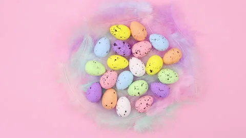 Easter eggs move in nest of feathers. Stop motion Stock Footage 147742776
