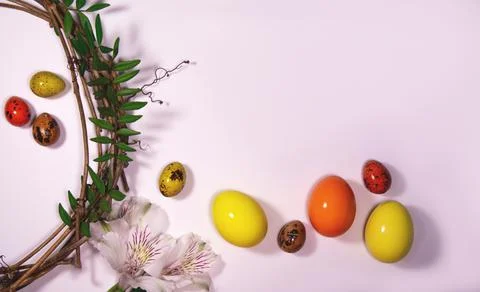 Easter eggs with nast and plants on a white background Stock Photos