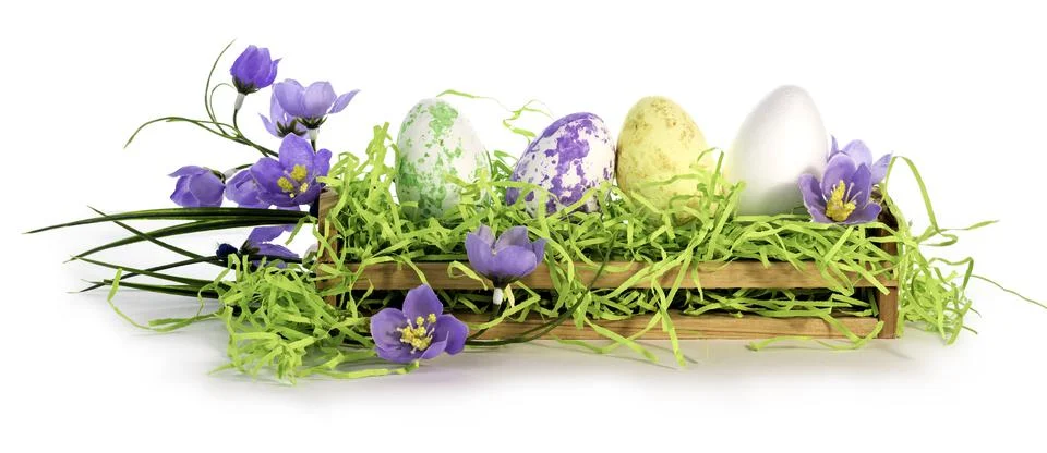 Easter eggs in the nest and spring flowers on a white background Stock Photos