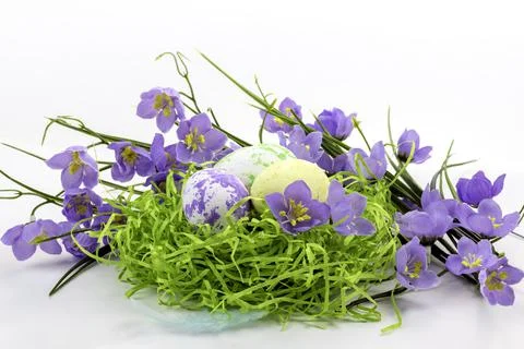 Easter eggs in the nest and spring flowers on a white background.Happy easter Stock Photos