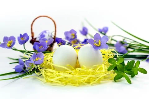 Easter eggs in the nest and spring flowers on a white background.Happy easter Stock Photos