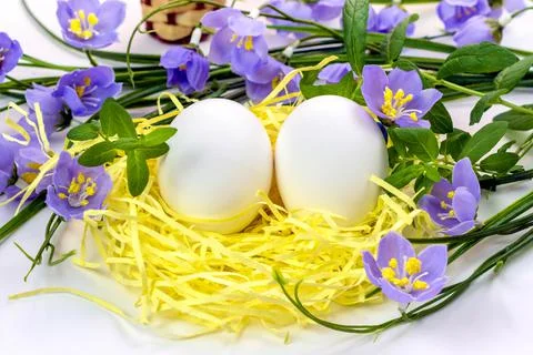 Easter eggs in the nest and spring flowers on a white background.Happy easter Stock Photos