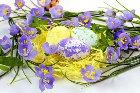 Easter eggs in the nest and spring flowers on a white background.Happy easter Stock Photos