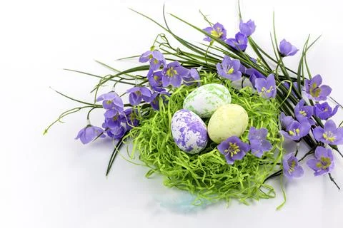 Easter eggs in the nest and spring flowers on a white background.Card with a Stock Photos