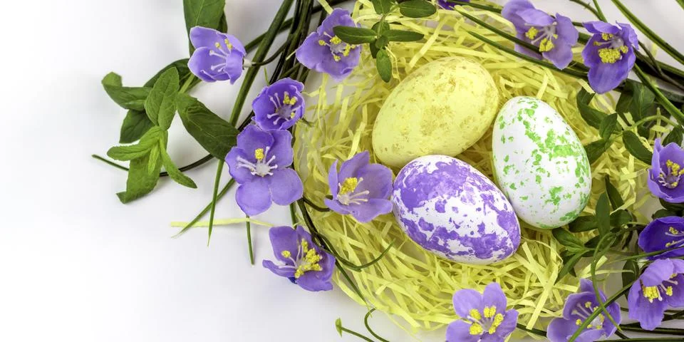 Easter eggs in the nest and spring flowers on a white background.Happy easter Stock Photos