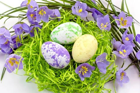 Easter eggs in the nest and spring flowers on a white background.Happy easter Stock Photos