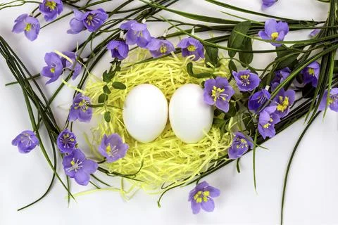Easter eggs in the nest and spring flowers on a white background.Happy easter Stock Photos
