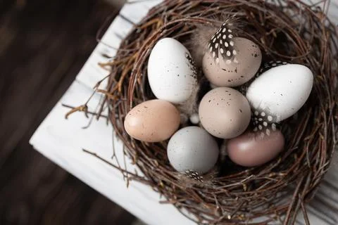 Easter eggs in nest of birch branches on edge of white wooden table. Spring Stock Photos