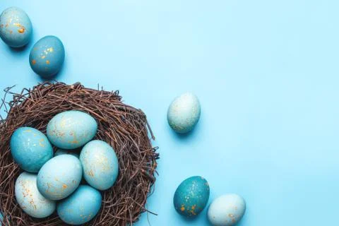 Easter eggs in nest on blue background. Stock Photos