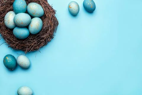 Easter eggs in nest on blue background. Stock Photos