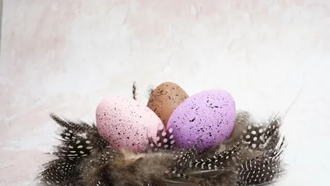 Easter eggs in the nest of feathers on light concrete background Stock Footage 234325861