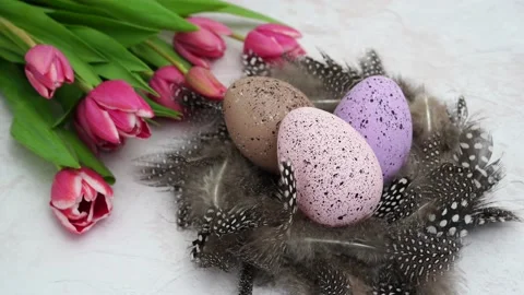 Easter eggs in the nest of feathers with pink tulips on white background Stock Footage 234069048