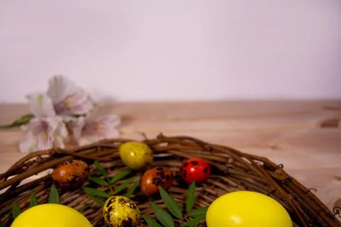 Easter eggs in a nest with flowers Stock Photos