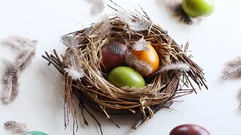 Easter eggs in nest Stock Footage 105336898
