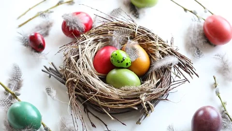 Easter eggs in nest Stock Footage 105336904