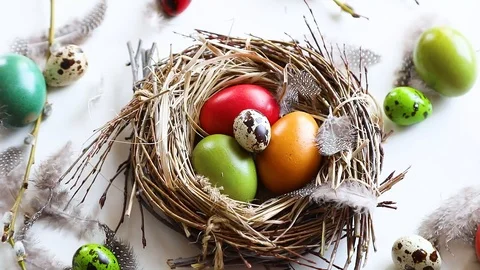Easter eggs in nest Stock Footage 106107086