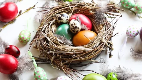 Easter eggs in nest Stock Footage 106107110