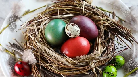 Easter eggs in nest Stock Footage 106107150