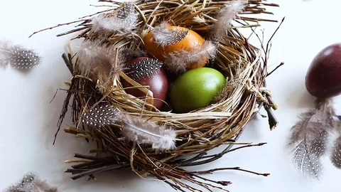 Easter eggs in nest	 Stock Footage 123570069