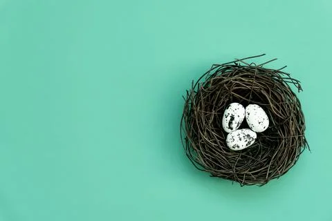 Easter eggs in a nest on an isolated background Stock Photos