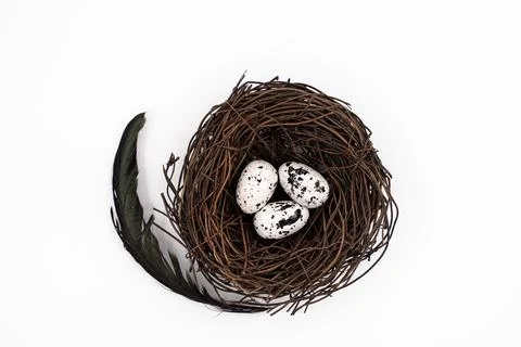 Easter eggs in a nest on an isolated background Stock Photos