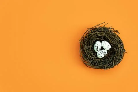Easter eggs in a nest on an isolated background Stock Photos