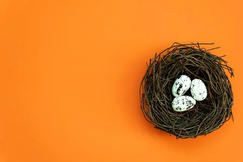 Easter eggs in a nest on an isolated background Stock Photos