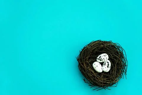 Easter eggs in a nest on an isolated background Foto stock