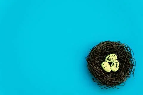 Easter eggs in a nest on an isolated background Stock Photos