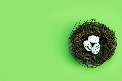 Easter eggs in a nest on an isolated background Stock Photos