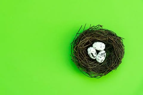 Easter eggs in a nest on an isolated background Stock Photos