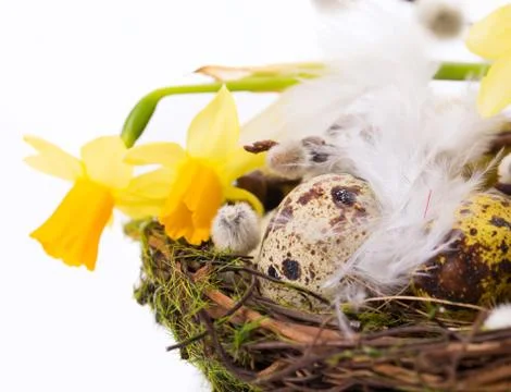 Easter eggs in the nest with narcissus Foto stock